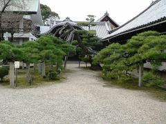 日本の旅　関西を歩く　大阪府守口市、来迎寺（らいこうじ）周辺