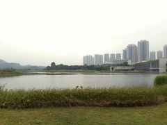 香港湿地公園を散策