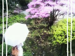 雨の京都(*´▽｀*)春の嵐にも負けず??風情たっぷりの１日