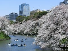 東京散歩　千鳥ヶ淵