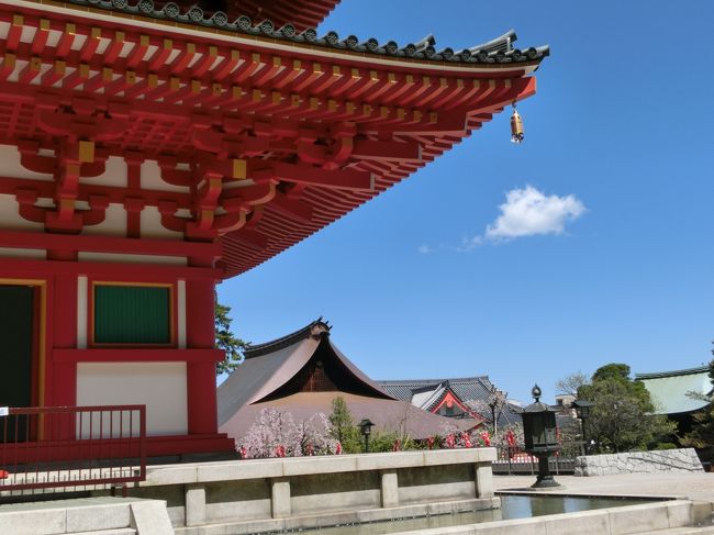 枝垂れ桜が映える伽藍 日野 昭島 東京 の旅行記 ブログ By 豆柴48さん フォートラベル