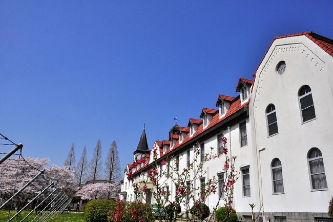 多治見にて<br />今回の旅の写真のイメージは<br />多治見修道院の青空と桜と<br />多治見「虎渓公園」の「観音像」と「桜」<br />撮りに来ましたが桜前線通過中なので<br />週末は，春の嵐の襲来を予測して<br />5年ぶりに平日に立ち寄りました。<br /><br />天候に恵まれて撮影日和、<br />桜も早々と散り初めの様相でした・<br /><br />帰り道に、可児の花フェスタ公園<br />御嵩町の御嵩の森かと・・迷いましたが。<br />時間的に、花フェスタ公園へ<br />桜の様子を観に立ち寄りました。<br />http://4travel.jp/traveler/isazi/album/10764544/<br />