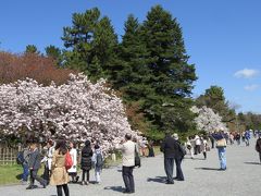 2013年　京都 御所春季一般公開