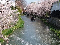 中年男子☆青春１８きっぷで出掛けよう　2013春☆　「この桜吹雪が目に入らぬか～(ー_ー)!!　近江八幡の春景色」