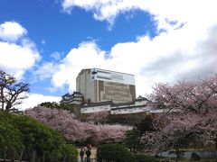 桜満開の姫路城