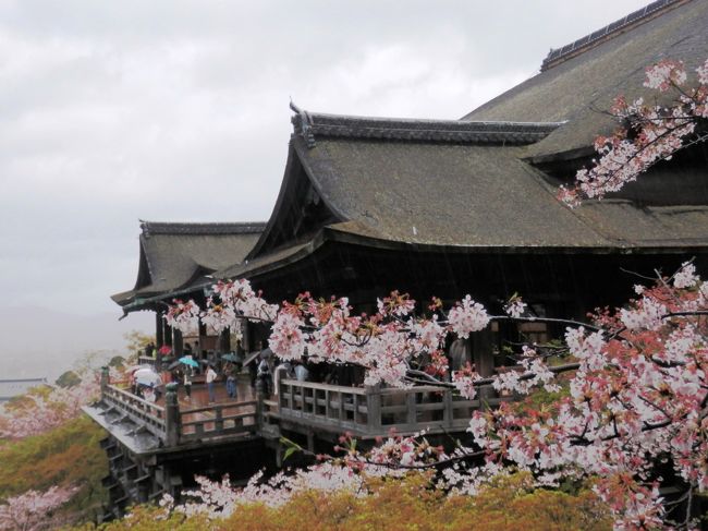 爆弾低気圧に邪魔されながら清水寺へ行きました。