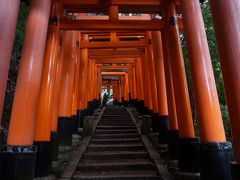 桜散る雨の京都　街歩き