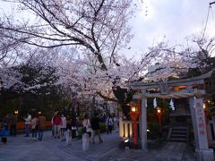 桜咲く京都