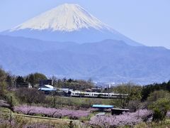 満開な桃の花を見渡せる新府桃源郷に訪れてみた