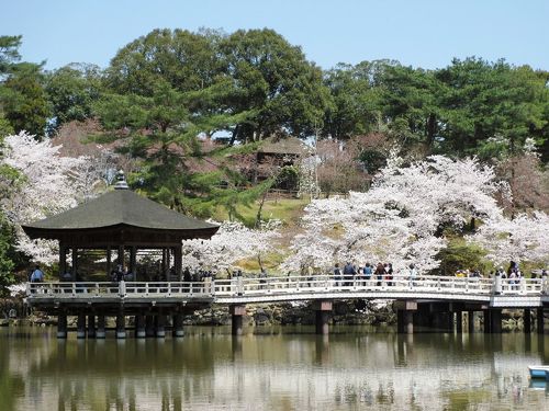 浮見堂の桜に逢えて良かった♪』奈良市(奈良県)の旅行記・ブログ by 