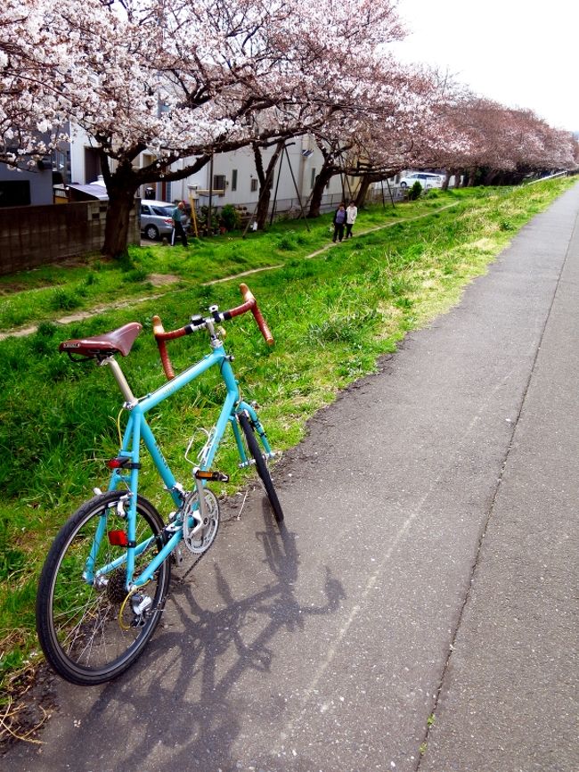 国道256 自転車 無理 府中