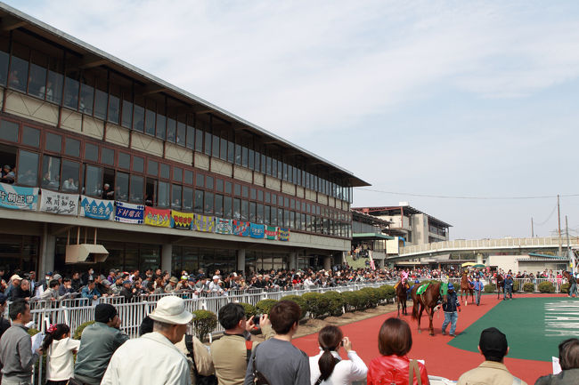 福山競馬場は、市内に日本鋼管(現:JFEスチール)の製鉄所があって経済的に発展していたことや、アングロアラブ種専門の競馬場として、園田と並ぶハイレベルなレースが繰り広げられていたことから、かつては非常に多くの競馬ファンで賑わっていました。<br /><br />ところが1990年頃から、器用で丈夫なアングロアラブ種の生産が激減してしまい、代わりにサラブレッドを導入したものの、コースが狭くて全速力で走らせられないためJRAとの交流レースを設定できず、しかもコース幅が狭いこともあってレースは最大10頭立てで高額な配当が望めないため、徐々にファンが離れていきました。<br /><br />その後も、売上の減少→賞金減額→所属馬が減少→レースが面白くない→売上の減少という悪循環にハマってしまい、2008年頃からは毎年のように競馬場の存廃が議論されるようになりました。<br /><br />しばらくは、かつての積立金を切り崩したり、賞金や運営経費を限界まで切り詰めることで乗り切ってきたものの、財政規模があまり大きくない「市」が主催者であったことや、老朽化した施設を更新するだけの費用を捻出するメドが立たなかったり、また単年度黒字化が困難になったことで、2013年3月24日を最後に廃止されることが決まりました。<br /><br />その、福山競馬場最終日の模様をお伝えします。<br /><br />【所在地】広島県福山市千代田町1-1-1<br />【最寄駅】JR福山駅より無料送迎バスで10分<br />【開設日】1949年9月18日<br />【主催者】福山市<br />【駐車場】無料駐車場1300台(確実に駐車可能)<br />【コース】1周1000m、直線200m<br />【グルメ】尾道ラーメン、焼きそば