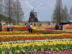 2013年　4月　15万本のチューリップがオランダのような風景を奏でる～「あけぼの山農業公園」