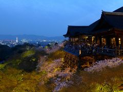 スルッとKANSAI・3dayチケットでさくら三昧清水編 2013