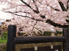 ゆとりの京都７泊で古都の桜めぐりと奈良吉野山・ちょっと大阪へ～1日・２日目～