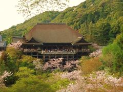 ゆとりの京都７泊で古都の桜めぐりと奈良吉野山・ちょっと大阪へ～４日日～