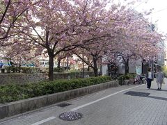 2013.京都　祇園四条周辺