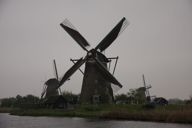 ロッテルダムの南東約10Kmにあるキンデルダイク郊外に　　<br />1740年代に造られた風車が19基残されている　<br />これほどに並んでいる風車は　<br />オランダでもほかにないという　<br /><br /><br />水面より低い位置にあるオランダは　<br />水害対策が必須で　干拓用に風車が造られた　<br />以前は１万基もあったといわれるが　<br />いまでは約千基ほどが現存している　　<br /><br /><br />1997年キンデルダイク＝エルスハウトの風車網として<br />世界遺産となっている