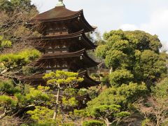 瑠璃光寺五重塔を目指して