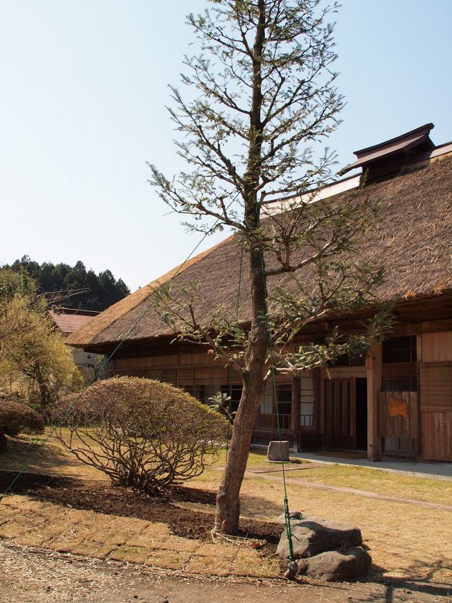 昨年のとある日。<br />いつものようにスポーツジムで走りながら、もしもツアーズを見ていた私。<br /><br />その時であったのが、このお宿。<br />まるで昭和のよき時代にタイムスリップしたような気分が味わえる茅葺屋根の古民家。<br />そして、大自然の中を楽しみ、夜は囲炉裏を囲みながら心のこもったお食事を頂き、朝は生みたての卵を味わう。<br /><br />「行ってみたーい」<br /><br />そう思って早々に申込み。<br /><br />そしてやっと今回訪問する事ができました。<br />TVで見るより、想像するより遥かに素晴らしい場所でした。<br /><br />ふと昭和時代に祖父母の家に行った思い出に戻ったり、野山を歩き回った事を思い出したり、季節というものを自然で感じられたりすることを再認識したり。<br /><br />土曜日だけOpenされるお宿の三男坊さん。<br />「お宿」という概念を突き抜けて、日本の素晴らしいおもてなしの心を日本の素晴らしい自然との共存を感じる事ができる場所でした。<br /><br />素晴らしい人々とも出会えたし、春夏秋冬季節を変えて自然のいろんな表情を見るためにお邪魔したい素晴らしいお宿です。<br /><br />☆旅行形態:個人旅行<br />☆交通機関:車<br />☆ホテル :藁葺屋根の宿三男坊<br />☆お世話になったリンク<br /> ○三男坊 http://hakonomori.net/kayabuki-yado/<br /><br />(上記のリンクは旅行当時のものです)<br />---------------------------------------------------------<br /><br />*記事のポリシー→http://4travel.jp/traveler/suzuka/profile/