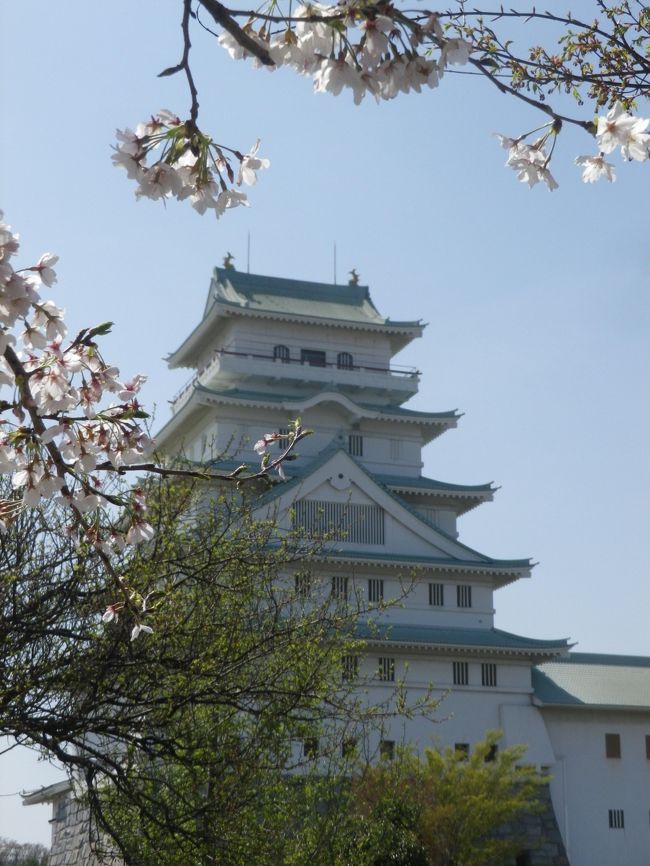 常総市の旧石下町にある常総市地域交流センター「豊田城」を見学して、石下のアピタで食事をした後、歌人「長塚節」の生家を見学しました。<br /><br />平成４年に出来た、豊田城から、筑波山やつくば研究学園都市などを眺めてから展示室内を見学、同じ旧石下町にある、正岡子規の門下生アララギ派の代表歌人長塚節の生家を見学。