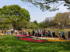 2013春・昭和記念公園【チューリップ】