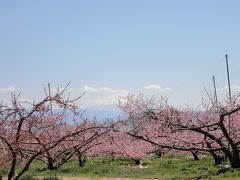 山梨（桃源郷）