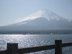 念願の冠雪した富士山を見たくて・・・山中湖へ♪　