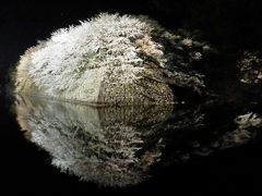 彦根城　お堀に映る　花の雲