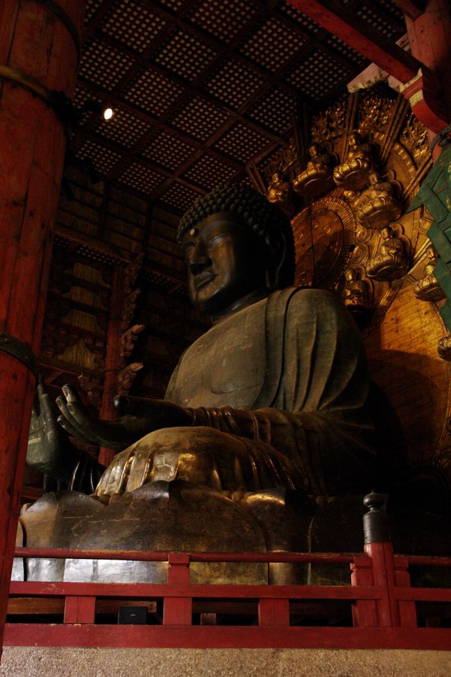 神童寺のミツバツツジを見て、奈良県に移動しました。<br /><br />唐招提寺をゆっくりと拝観して、宇治在住の友とはここでお別れ、大阪から参加のお二人は電車で帰られるとの事で、奈良駅までくのさんの車にて送り、私たちは直ぐ近くの大仏様を見に。<br /><br />久しぶりの大仏様、やっぱり素晴らしいです。<br />