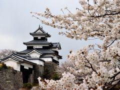 ２０１３年観桜記　（９）北上する桜前線を追いかけて奥州白河へ