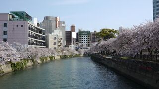 福岡 2013 照和と博多ラーメン