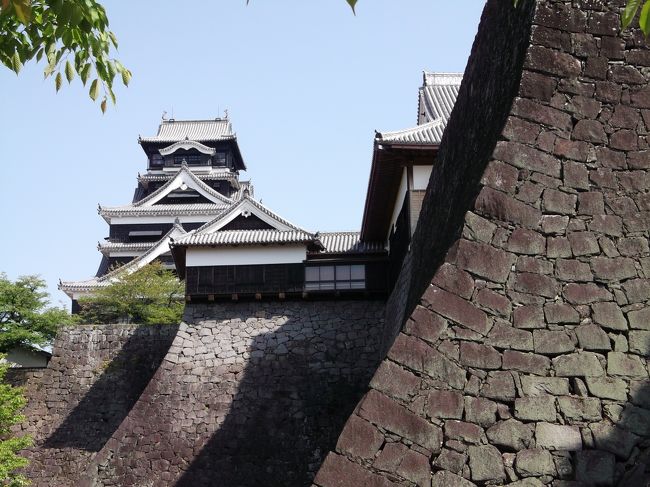 長崎から熊本へ移動して最初に訪れたのは待望の”熊本城”です。<br />広い城内をゆっくり散策開始です。<br />お城と本丸御殿を見る事が最大の目的だったので<br />気分はウキウキです。