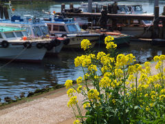 庶民的で　美しい　しながわ 花海道　下