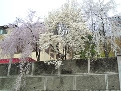 春の韓国・アジュンマ一人旅♪ 2日目－① ～高速バスに挑戦！清州へGO～