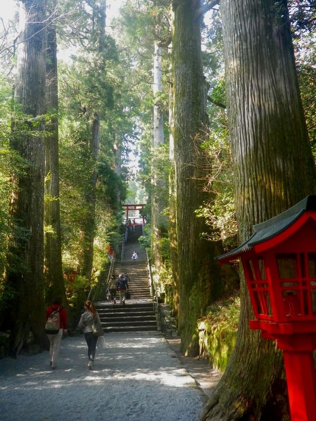 連休直前の週末、箱根の山の桜と富士を求めてドライブを楽しみました。<br /><br />箱根は関東有数の観光地ではありますが、その誕生に関しては最近まで幾つかの説もあったようで、かなり複雑な成因があるようです。<br /><br />そうした歴史もかみしめながら日本人の歴史に大きな影響を与え続けてきた自然を歩きました。<br /><br /><br /><br />宿泊はちょっと風変わりな大規模施設にお邪魔してみましたーーー。