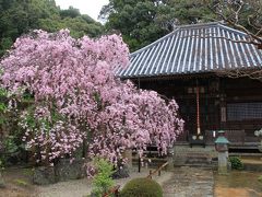 兵庫県川西市の満願寺