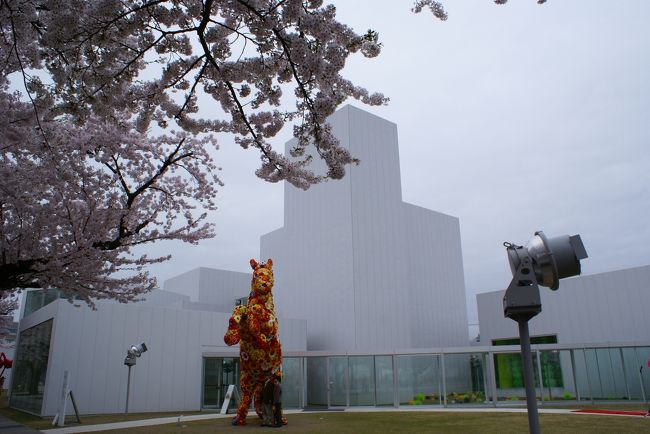 ２００９年４月<br /><br />十和田市現代美術館と弘前公園へ。<br /><br />弘前城の桜は通常ＧＷが見頃となるが、今回は1週間ほど早い。<br /><br />満開をねらって少し早めの青森旅。<br /><br />