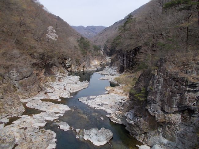 ４／１４（日）に、龍王峡に春をつげるアカヤシオが見たくて、龍王峡と川治平方山園地に訪ねました。<br />　<br />私の好きな「鶯色の柔らかい色の早春の山」、<br />山桜、水芭蕉、春の草花、満開を少し過ぎていましたがアカヤシオも<br />　<br />天気もよく川を渡る風の気持ちの良い、少し欲張りな春のハイキングになりました。<br />　<br />予定では、次週の土日に泊まりで行く予定でしたが、前日に観光協会に尋ねると<br />既にヤシオツツジが満開を迎えているとのこと、<br />　<br />急遽日程を繰り上げ、２日の予定を日帰りに圧縮。<br />　龍王峡　＋　川治平方山園地　＋　川治のグルメ　＋　薬師の湯　<br />いつもより、ちょっと欲張りな４回目の川治温泉旅、写真も百枚を超えそうです。<br />　<br />それでは、写真で龍王峡と川治温泉平方山園地を訪ねます。<br />