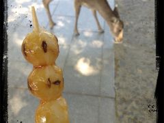 奈良公園から、商店街を抜け、、、