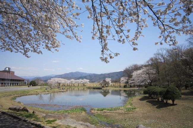 春になったから、お花見にいかないとね…<br />って事で、1泊2日の春を満喫する桜旅のバスツアーに参加。<br /><br />1日目は、川中島合戦で上杉謙信と武田信玄の戦いの舞台となった場所『八幡原史跡公園（川中島古戦場）』と国宝『松本城』の桜を観賞。<br />当日の気温は24℃、暖かくてお花見びよりとなった(´∀｀)♪<br /><br />桜を楽しんだ後は早めにホテルへ。<br />宿泊は、美ヶ原温泉にある5つ星の宿『ホテル翔峰』。<br />温泉でゆっくりまったりﾟ+.ﾟ(*´∀`)bﾟ+.ﾟ<br /><br />2013年の桜と宿の旅行記、お楽しみくださいませ。<br /><br /><br /><br /><br /><br /><br />