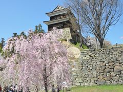 信州さくらまつりめぐり「上田城・臥龍公園・高島城」