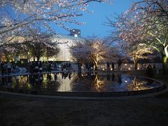 桜を楽しみに新潟へ