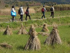 奈良も５度目なら～♪　（２）山の辺の道