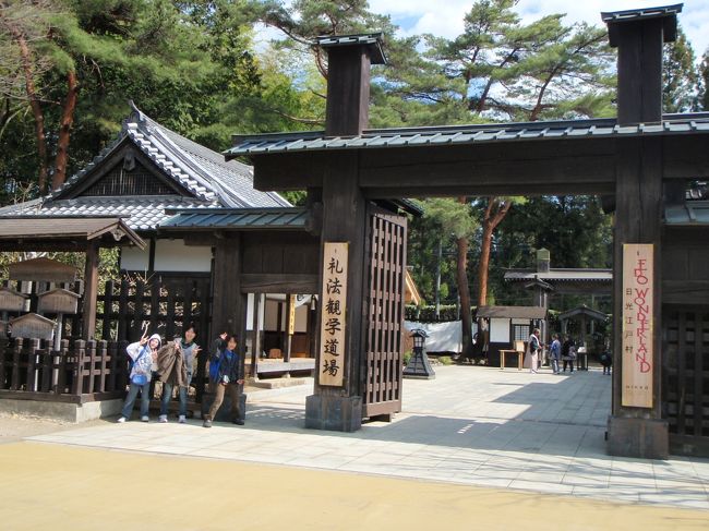 今回の一時帰国の目的は、長男が「忍者」、次男が「ポケモン」でした。<br /><br />まず長男の夢をかなえるべく、成田から直接鬼怒川温泉へ。空港で姪のお迎えを受け、4人でまず旅は始まりました。<br />2日目、義弟・妹・甥も来て、一緒に江戸村と鬼怒川温泉を楽しみました。<br /><br />天気にも恵まれ、江戸村はとっても楽しかったです!色々な劇場での催し物も二つしか見られなかったし、1日いても遊び足りませんでした。また次回の帰省の際は絶対行くぞ、と親子ともども決意しました♪