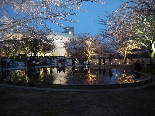 今年は例年以上に桜を楽しもうと思い、<br />関東地方とは時期がずれていた桜を求めて、<br />新潟まで行ってきました。<br /><br />出発２日前に思い付き、ＪＲ東日本のびゅうのネットで、<br />新幹線とホテルのセットを予約。<br />レンタカーを利用するかどうか迷い続けて、<br />結局、予約はせず、現地で申し込んで、ブラブラしました。<br /><br />往路は９時頃出発、１１時頃着、<br />復路は１８時頃発、２０時頃東京着、<br />ホテルはサンルート新潟を利用しました。<br /><br />初日はレンタカーを借りて、新潟市以外をブラブラ。<br />でも、桜の名所ではまだ開花せず、<br />市内の近場に帰ってきて、やっと桜に出会えました。