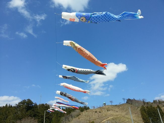 県内各地に桜の名所がある福島。東北の春はあっという間ですが、いつか機会をうかがって春の福島に桜めぐりの旅に行ってみたいと思い続けていました。<br />今年の桜は早咲きで、東北でもゴールデンウィークを待たずして桜が咲いてしまいそうな気配。そんなわけで、思いつきで1泊2日の弾丸花見ツアーに出かけることにしました。<br />お目当ては日本三大桜の名所・三春の滝桜と、川沿いに美しい桜並木が続く小野町の夏井千本桜。<br />できれば両方が見ごろになりそうな4月の第3週を狙って行きたかったのですが、仕事の都合でやむなく前倒しにすることに。。。<br />結果的に、夏井千本桜はフライングでの訪問になってしまいましたが、幸い、三春の滝桜は8分咲き！<br />お天気も快晴に恵まれ、素晴らしい春の旅を楽しむことができました。<br /><br />≪行程表≫<br />自宅から在来線利用で乗り継ぎ<br />↓<br />常磐線<br />↓<br />9:37　泉駅着<br />↓徒歩<br />9:45　バス乗車（小名浜方面）<br />↓バス<br />9:56　バス停「支所入口」下車<br />↓徒歩<br />10:05ごろ　洋菓子店「ゼリーの家」にて買い物<br />↓徒歩<br />10:40 バス停「支所入口」よりいわき駅方面バス乗車<br />↓バス<br />11:15ごろ　いわき駅着<br />（昼食など）<br />13:13　いわき駅発<br />↓電車（磐越東線）<br />13:51　夏井駅着<br />↓徒歩<br />14:00　夏井千本桜散策<br />↓徒歩<br />14:15　諏訪神社散策<br />↓徒歩<br />15:10　小野新町駅前通過<br />↓徒歩<br />15:20　リカちゃんキャッスル<br />※夏井駅～リカちゃんキャッスルまで約4km程度<br />（館内見学）<br />16:00　リカちゃんキャッスル出発<br />↓徒歩<br />16:10　小野新町駅着<br />16:27　小野新町駅発<br />↓電車（磐越東線）<br />17:17　郡山駅着<br /><br />