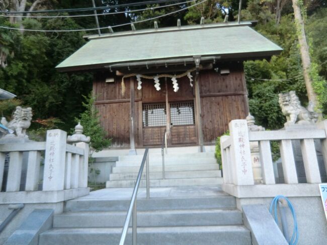 鎌倉幕府創設に至る過程で多大な貢献を果たした三浦氏の総帥三浦義明(みうら・よしあき、1092~1180)を頼朝の意向により祀った満昌寺(まんしょうじ)から数分東進しますと近殿神社(ちかたじんじゃ、神奈川県横須賀市大矢部)があります。この辺りは大矢部と呼ばれ当該神社は鎮守として中核的な神社ですが、ご祭神は上述の義明の孫にあたる三浦義村(みうら・よしむら、1168~1239)です。治承4年(1180)頼朝が伊豆で旗揚げをして一時房総に逃れますがその後勢力を回復、ついに鎌倉に幕府を設立します。旗揚げ時から幕府設立に至る間、頼朝は各地豪族に参陣を呼びかけ、応じた豪族は頼朝の御家人としての立場となります。然しながら頼朝死後は幕府の要である将軍頼家の求心力は衰え、御家人の間に潜んでいた利害関係が表面化し権力闘争に発展、有力な御家人が次々と潰されてゆきます。その権力闘争の中で主導権を取っていたのは頼朝外戚の北条氏と鎌倉に隣接する三浦半島に最大の兵力動員数を有する三浦氏で、父である義澄(よしずみ、1127~1200)が正治2年(1200)に亡くなり家督を継いだ義村の頃になりますと顕著な権力闘争が展開されます。北条氏は時政は既に去り、息子の義時(よしとき、1163~1224)の時代となり持前の権謀術により巧妙な手段で有力御家人を潰してゆきます。三浦義村は何事にも慎重な義澄と異なり、北条氏との対立を意識する中で、義時と同一行動を取るなどして共通の政敵を策謀と裏切りにより抹殺します。例として初代侍所別当の和田義盛(わだ・よしもり、1147~1213)が北条氏の挑発に乗って武力対決に踏みきった際、従兄弟に当たる義村は義盛に同調する約束をしますが、戦いの最中義盛を裏切り北条方に与する事となり結果、義盛の敗北が決定的となります。その後も北条氏と三浦氏との権力闘争は収まらないなか決定的な段階までには至らない状況が続きますが、ついに宝治元年(1247)に当時の5代目執権北条時頼(ほうじょう・ときより、1227~1263)と義村の子である三浦泰村(みうら・やすむら、1204~1247)は実弟光村(みつむら、1205~1247)との武力対決に至り泰村・光村側は時頼軍攻撃を受けて敗死、三浦氏は滅亡します。2022年8月16日追記当該神社に関する説明板には下記の通り紹介されています。『 由 緒神社名 近殿神社鎮座地 神奈川県横須賀市大矢部1丁目9番3号祭 神 三浦義村御祭神三浦駿河守義村は、三浦氏代々の頭領三浦為通ー為継ー義継ー義明ー義澄ー義村ー泰村と続く第六代の頭領であり、当社は源頼朝を助け衣笠城で討死したと伝えられる三浦大介義明の孫に当たる義村公を祀る大矢部の総鎮守であります。明治6年6月には村社に列格し、創建は不詳でありますが、以前にはこの大矢部には近殿神社の他に、同大矢部山下834番地に祭神達玉乃男命を祀る?野社、同大矢部山下722番地に天照天神を祀る皇大神社及び素?鳴命(別名、午頭天王)を祀る八雲神社とその境内社である本花之開耶姫命(このはなさくやひめのみこと)を祀る浅間神社及び金山彦命を祀る金之比羅神社、更に同大矢部綾子畑250番地に日本武尊を祀る貴船神社、そして同大矢部綾子畑239番地に八街比古命(やちまたひこのみこと)を祀る山頂神社と数々の神社がありましたが、大正2年(1913)9月1日一村一社という国の指令で衣笠山の衣笠神社に合祀されてしまいました。しかし乍ら世界第二次大戦後に、衣笠山では遠隔不便なため、近殿神社と他の社を元の当境内地に遷宮し、昭和22年(1947年)10月28日に再建し、昭和24年(1949年)2月10日宗教法人近殿神社の設立登記届を出し、民主的運営のもと大矢部の氏子の方々により運営されています。社殿は明治11年(1878年)に木造茅葺の社殿を再建しましたが、老朽化して去る昭和51年(1976年)8月22日に改築造営して今日に至っております。 平成14年(2002年)9月 三浦大介義明公八百年幣実行委員会 』