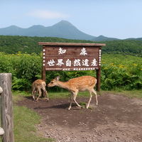 真夏の道東旅