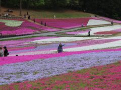 2012年　5月　途中で雨が降りましたが、それでも諦めず見に行った「羊山公園の9種類の芝桜」